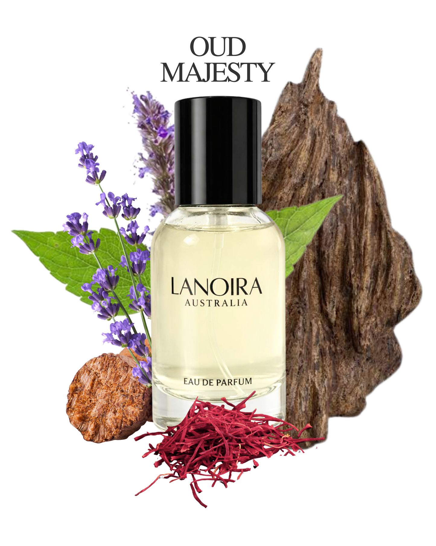 Oud Majesty EDP